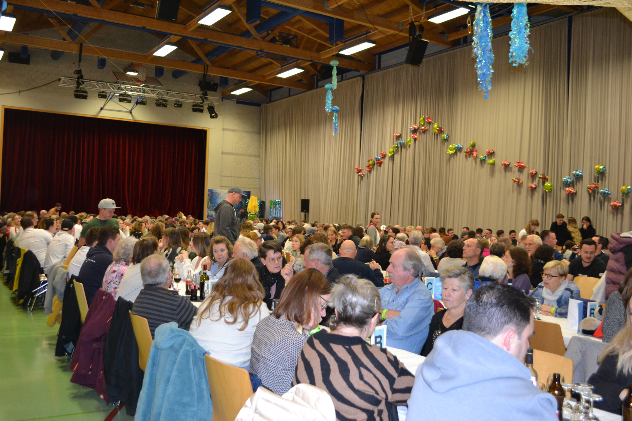 Bild4 (6)